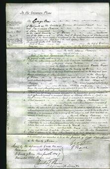 Court of Common Pleas - Clara Palliser-Original Ancestry