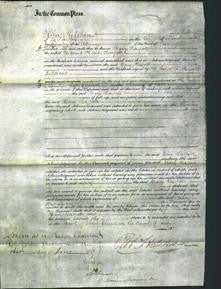 Court of Common Pleas - Mary Horsfall-Original Ancestry