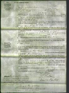 Court of Common Pleas - Ann Binge-Original Ancestry