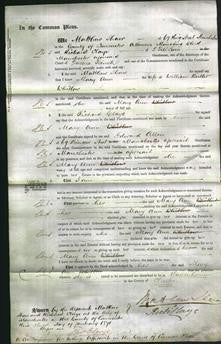 Court of Common Pleas - Mary Ann Whitlow-Original Ancestry