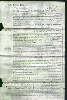 Court of Common Pleas - Anne Hughes-Original Ancestry