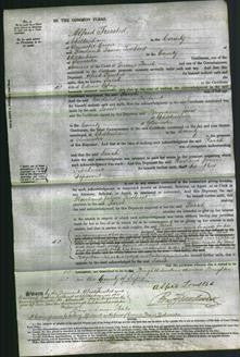 Court of Common Pleas - Sarah Oakey-Original Ancestry