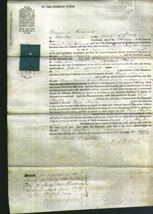 Court of Common Pleas - Eliza Naylor-Original Ancestry