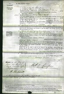 Court of Common Pleas - Helen Elliot-Original Ancestry