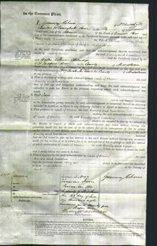 Court of Common Pleas - Emily Hicks and Caroline Richardson-Original Ancestry