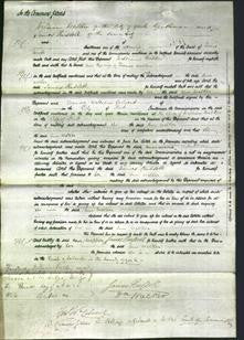 Court of Common Pleas - Ann Walker-Original Ancestry