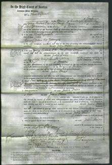 Court of Common Pleas - Julia Hales-Original Ancestry