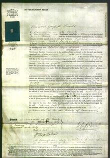 Court of Common Pleas - Catherine Griffith-Original Ancestry