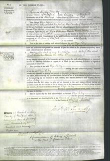 Court of Common Pleas - Eliza Sabey-Original Ancestry