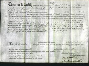 Deed by Married Women - Sarah Curtis and Mary Ann Taylor-Original Ancestry