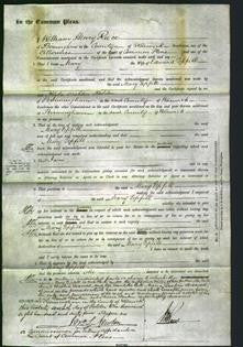 Court of Common Pleas - Mary Upfill-Original Ancestry