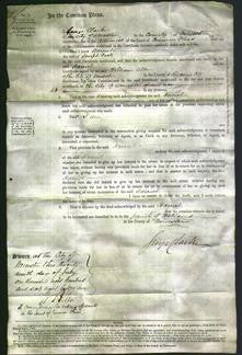 Court of Common Pleas - Harriet Pratt-Original Ancestry