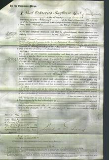 Court of Common Pleas - Rebecca House-Original Ancestry