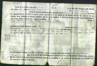 Deed by Married Women - Ann Paine and Esther Griffin-Original Ancestry