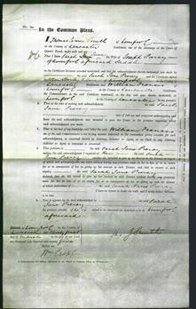 Court of Common Pleas - Sarah Jane Piercy-Original Ancestry