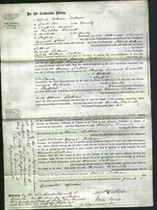 Court of Common Pleas - Maria Latham-Original Ancestry