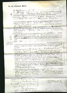 Court of Common Pleas - Ann Walters, Mary Kingdom-Original Ancestry