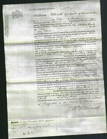 Court of Common Pleas - Margaret Porter, Frances Bentley and Mary Hind-Original Ancestry