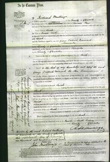 Court of Common Pleas - Sarah Coole-Original Ancestry