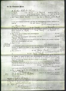 Court of Common Pleas - Louisa Emily Maude-Original Ancestry