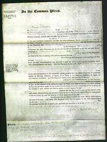 Court of Common Pleas - Sarah Clarke-Original Ancestry