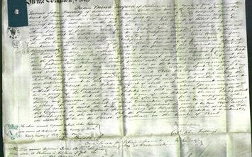 Court of Common Pleas - Ann Peel-Original Ancestry