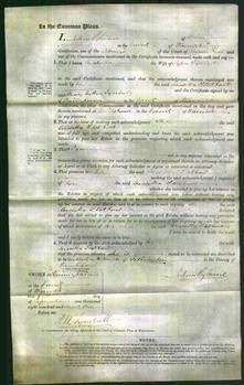 Court of Common Pleas - Arabella Stothart-Original Ancestry