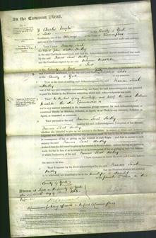 Court of Common Pleas - Frances Sarah Hartley-Original Ancestry