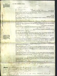 Court of Common Pleas - Jane Austin and Frances Shelley-Original Ancestry