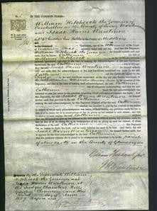 Court of Common Pleas - Catherine Hitchcock-Original Ancestry