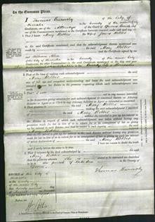 Court of Common Pleas - Mary Webber-Original Ancestry