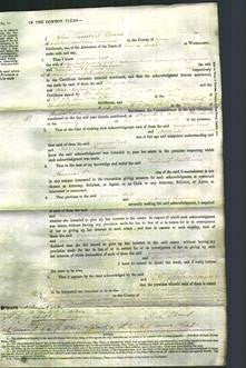 Court of Common Pleas - Georgina Scott and Ann Newport Conybeare-Original Ancestry