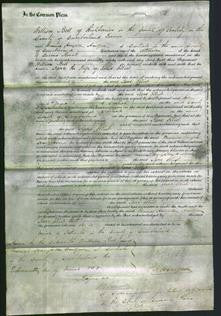 Court of Common Pleas - Jane Elliot-Original Ancestry