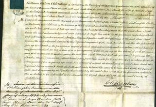 Court of Common Pleas - Ann Nash-Original Ancestry