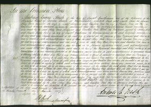 Court of Common Pleas - Mary Ann Timpson-Original Ancestry