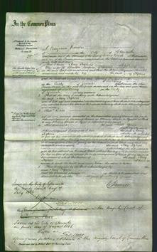 Court of Common Pleas - Mary Stephens-Original Ancestry