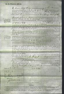 Court of Common Pleas - Louisa Neal-Original Ancestry