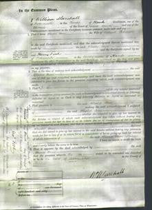 Court of Common Pleas - Rhoda Ann Hollbrook-Original Ancestry