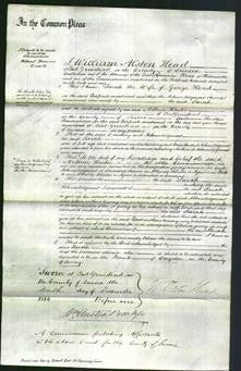 Court of Common Pleas - Sarah Head-Original Ancestry