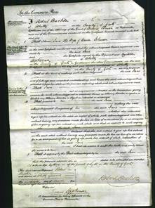 Court of Common Pleas - Jane Johnson-Original Ancestry