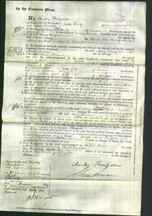 Court of Common Pleas - Mary Thompson and Sarah Elsdon-Original Ancestry