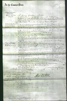 Court of Common Pleas - Henrietta Bousfield-Original Ancestry