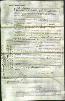 Court of Common Pleas - Sarah Watts-Original Ancestry