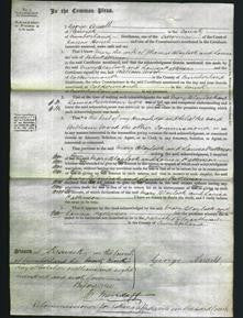 Court of Common Pleas - Mary Blaylock and Louisa Pattinson-Original Ancestry