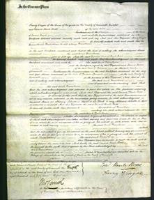 Court of Common Pleas - Sarah Dennithorne-Original Ancestry