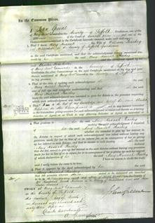 Court of Common Pleas - Mary Hannah Peachey-Original Ancestry