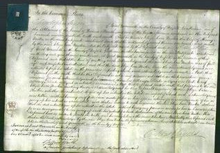 Court of Common Pleas - Eliza Carr Newton-Original Ancestry