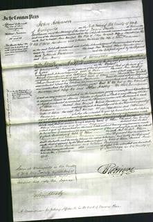 Court of Common Pleas - Ann Horsfall, Helena Saunderson and Catherine Wardman-Original Ancestry