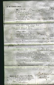 Court of Common Pleas - Mary Ann Whitlow-Original Ancestry