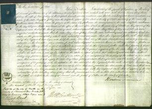 Court of Common Pleas - Mary Anne Golding-Original Ancestry